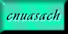 setmisc34col.gif (4663 bytes)